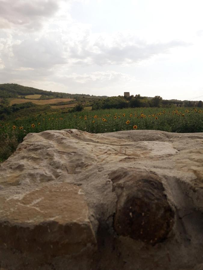Castello Nuovo Di Fiore - Appartamento 1 Exterior foto